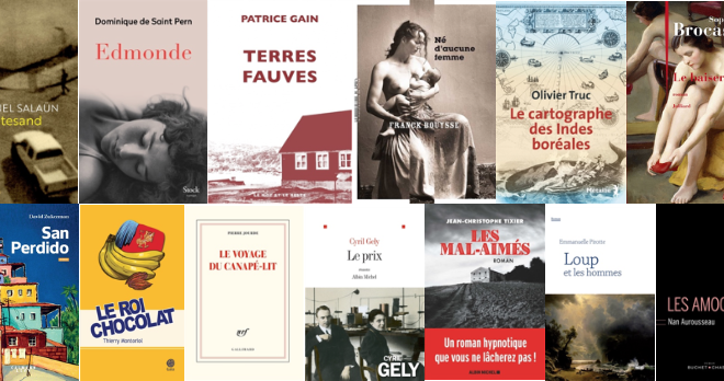 13 romans sélectionnés